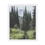 Garibaldi, Canada // Poster Print (Unframed: 8"W x 10"H)