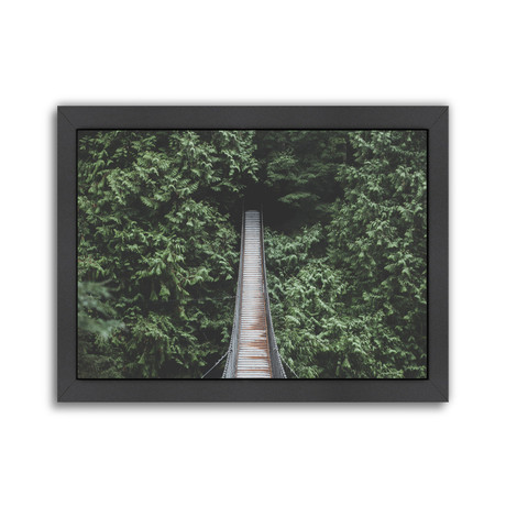 Lynn Valley, Vancouver II // Poster Print (Unframed: 10"W x 8"H)