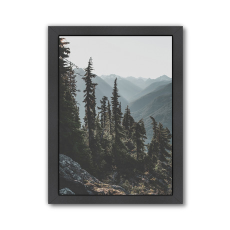 North Cascades National Forest, USA // Poster Print (Unframed: 8"W x 10"H)
