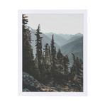 D4bcc242c85fde374bde1a26c26287aa small