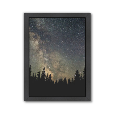Starts Over The Forest II // Poster Print // Black Frame (Black Frame: 9"W x 11"H)