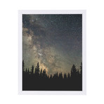 Starts Over The Forest II // Poster Print // White Frame (White Frame: 9"W x 11"H)
