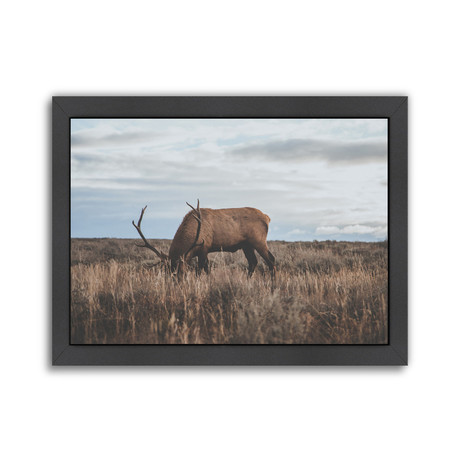 Wyoming, USA // Poster Print (Unframed: 10"W x 8"H)