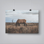 8af6054791f4feb67cf87c2b400ac612 small