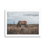 64cc8029ac9fb2d24f3ceef8f6505cd8 small