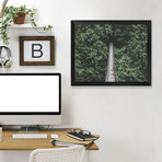 Lynn Valley, Vancouver II // Poster Print (Unframed: 10"W x 8"H)