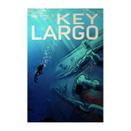 Dive Key Largo