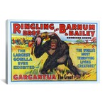 Ringling Bros & Barnum Bailey: Gargantua Gorilla // Vintage Circus Poster (26"W x 18"H x .75"D)