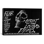 Night of the Living Dead // Vintage Movie Poster (26"W x 18"H x .75"D)