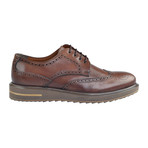 Bayram // Wingtip Brogue // Brown (Euro: 39)