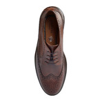 Bayram // Wingtip Brogue // Brown (Euro: 39)