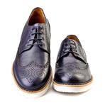 Ayberk Wingtip Brogue // Dark Blue (Euro: 44)