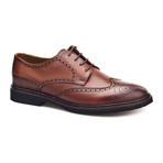 Arslan Wingtip Oxford // Tobacco (Euro: 43)