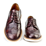 Arslan Wingtip Oxford // Brown Croco (Euro: 41)