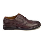 Arslan Wingtip Oxford // Brown (Euro: 44)