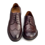 Arslan Wingtip Oxford // Brown (Euro: 44)