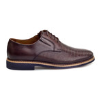 Toygar Oxford // Brown (Euro: 40)