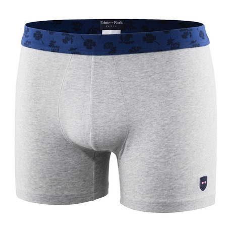 Printed Band Boxer Brief // Gray + Blue (S)