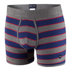 Multi Striped Logo Patch Boxer Brief // Gray + Blue (L)