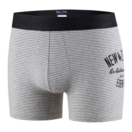 Mini Stripe Boxer Brief // Gray (S)