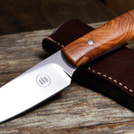 Olive Wood Fixed Blade (Thin Handle)