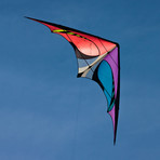 E3 Dual Line Framed Sport Kite + Waist Pouch (Spectrum)