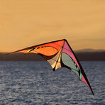 E3 Dual Line Framed Sport Kite + Waist Pouch (Spectrum)