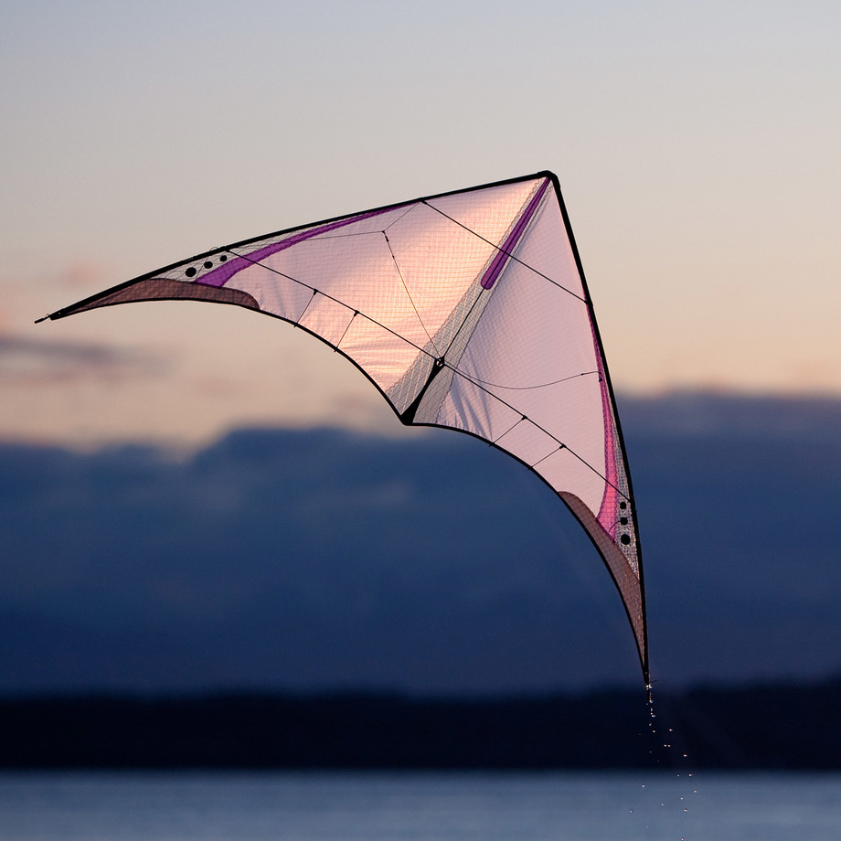 Prism Kites High Performance Sport Kites Touch of Modern