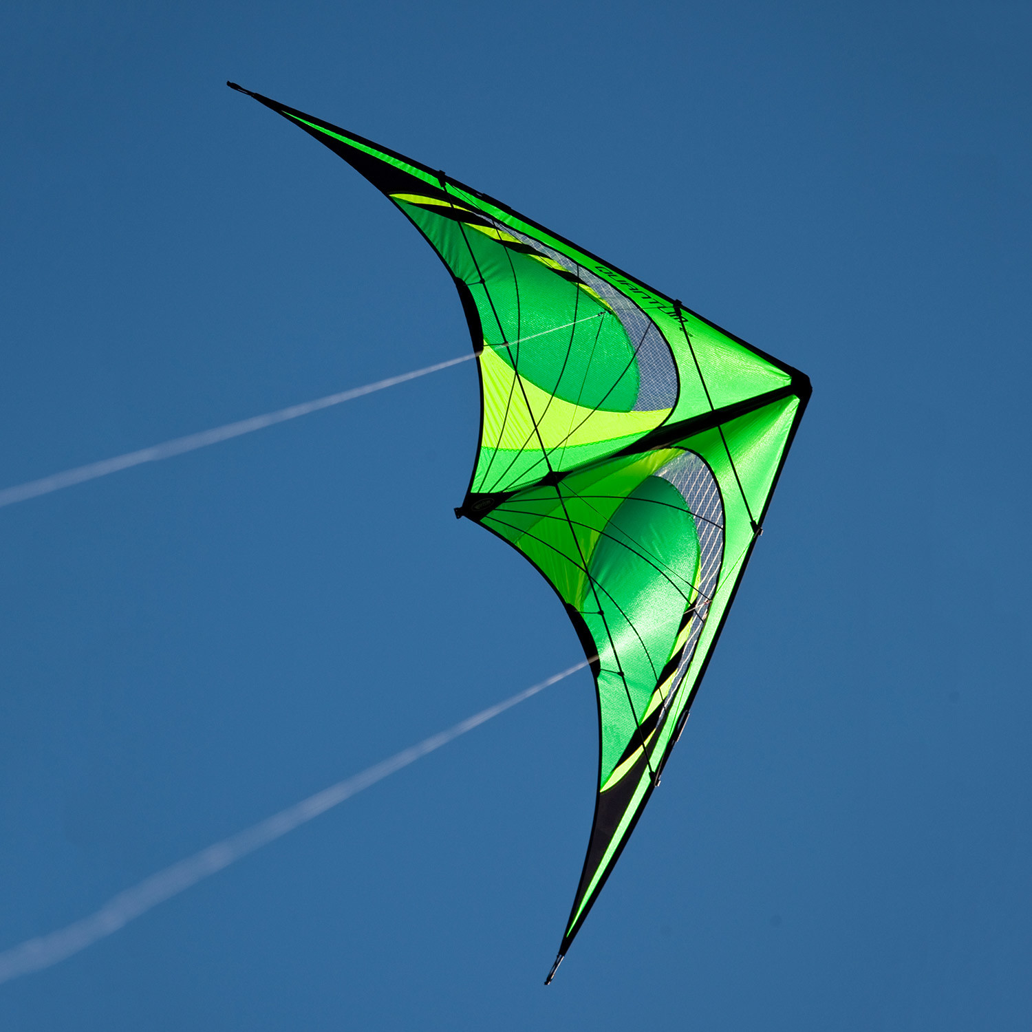 Quantum Dual Line Framed Sport Kite + Beginners Spare Parts Kit (Ice ...