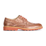 Glasgow Wingtip Derby // Elm (Euro: 44)