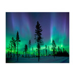 Aurora Borealis/Northern Lights