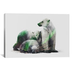 Aurora Borealis Series // Arctic Polar Bear Family (26"W x 18"H x 0.75"D)
