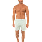 Beach To Brunch Swim Shorts // Mint (36)