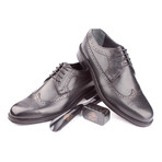 Leather Perforated Wingtip Derby // Dark Brown (Euro: 39)