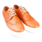 Leather Perforated Wingtip Lace-Up Sneaker // Orange (Euro: 44)