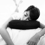 Anti Aging Bed Pillow + Trisilk Pillowcase // Wood Grain Border (Standard/Queen)