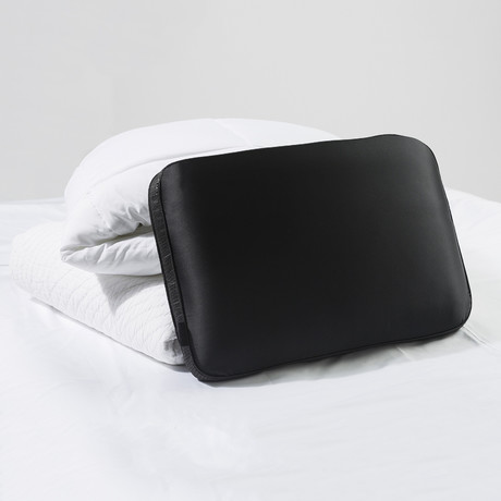 Anti Aging Bed Pillow + Trisilk Pillowcase // Alligator Border (Standard/Queen)