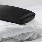 Anti Aging Bed Pillow + Trisilk Pillowcase // Alligator Border // Set Of 2 (Standard/Queen)
