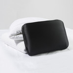 Anti Aging Bed Pillow + Trisilk Pillowcase // Alligator Border // Set Of 2 (Standard/Queen)