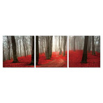Crimson Wood (60"W x 20"H x 1"D)