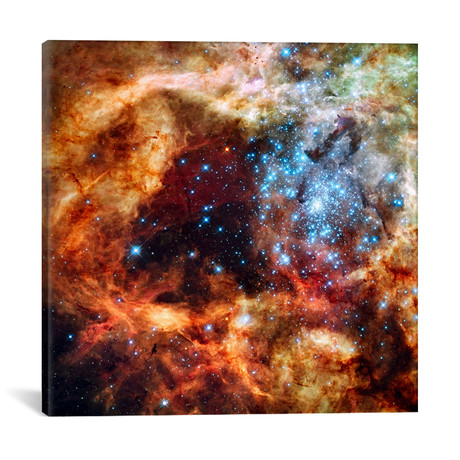 R136 Star Cluster // Hubble Space Telescope // NASA (18"W x 18"H x 0.75"D)