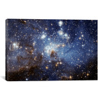 LH-95 Stellar Nursery (Hubble Space Telescope) // NASA (26"W x 18"H x 0.75"D)