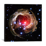 V838 Monocerotis // Hubble Space Telescope // NASA (18"W x 18"H x 0.75"D)