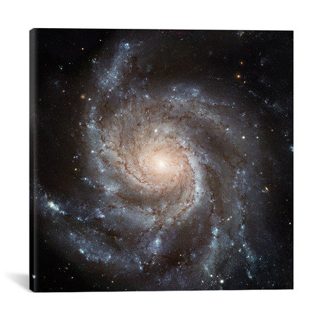 Big, Beautiful Spiral, Messier 101 // Pinwheel Galaxy // NASA (18"W x 18"H x 0.75"D)