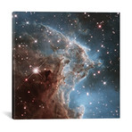 NGC 2174 // Monkey Head Nebula // Hubble Space Telescope 24th Anniversary // NASA (18"W x 18"H x 0.75"D)