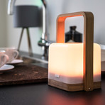 Lucis Bamboo + Handle