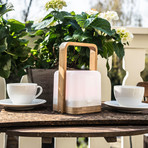 Lucis Bamboo + Handle