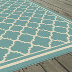 Garden City Tangier Transitional Rug // Aqua (2'7"L x 7'3"W)