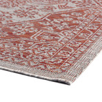 Veranda Vaux Traditional Rug // Terra (2'7"L x 7'3"W)