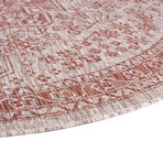 Veranda Vaux Traditional Rug // Terra (2'7"L x 7'3"W)